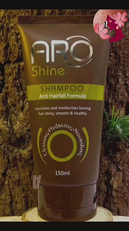 Aro Shine Biotin Keratin Argan Oil Anti Hair Fall Shampoo Strengthening Growth Thinning Hair Sulfate Free Shampoo